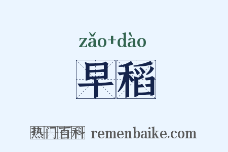 早稻是什么意思的图片